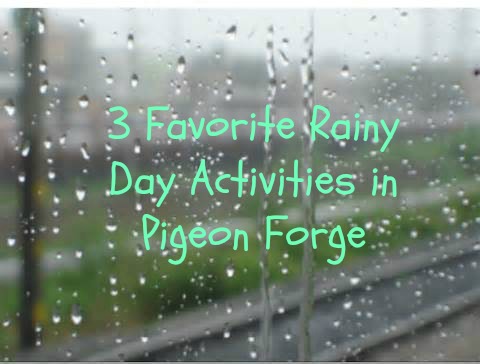 Vacation Rental Photo