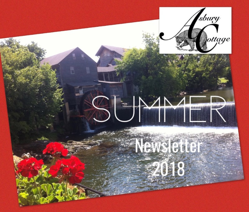 Vacation Rental Photo