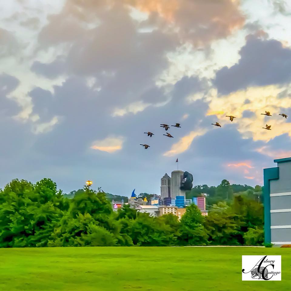 Vacation Rental Photo