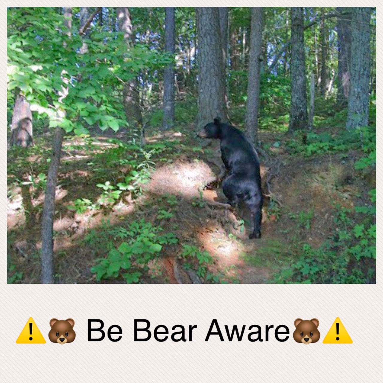 Vacation Rental Photo